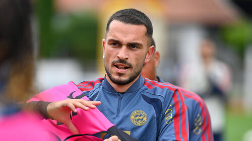 Ibrahimovic Bayern'de